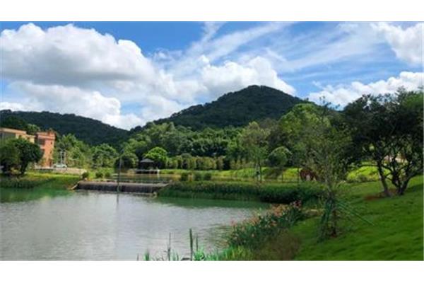 农村自然风景