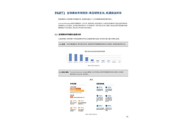 选品分析报告
