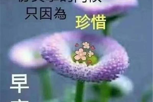 每日祝福语早安