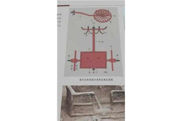 车兀读什么