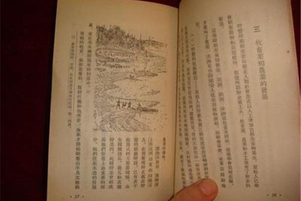 什么是文献