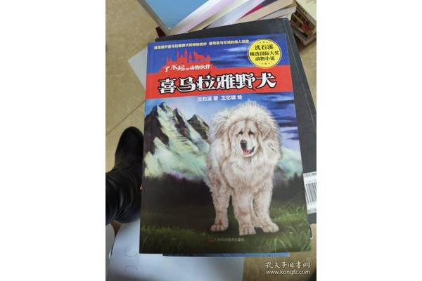 喜马拉雅野犬