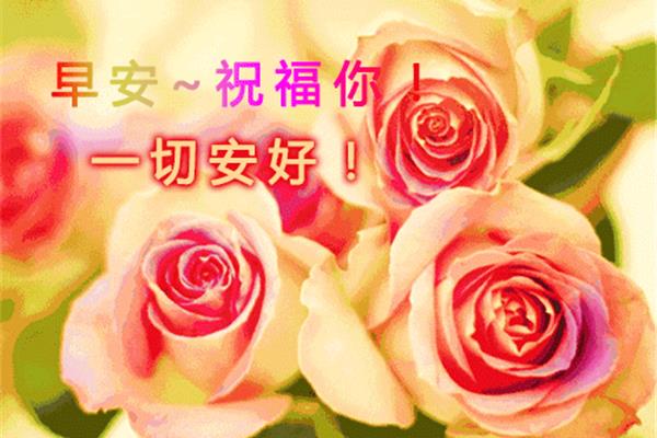每日祝福语早安