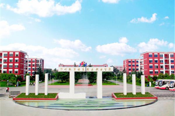 信息技术职业学院