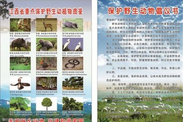 野生动植物保护