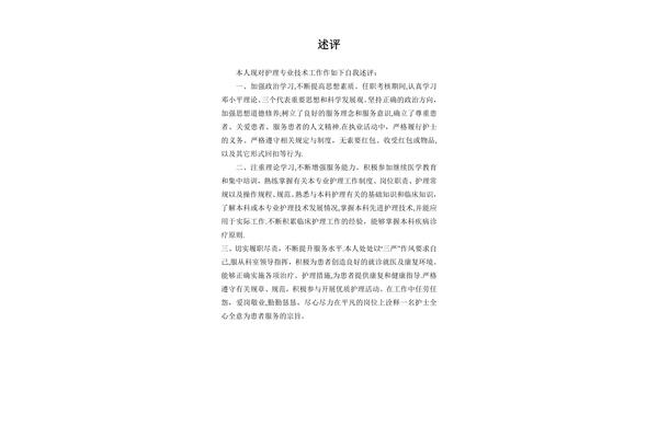 专业技术工作述评