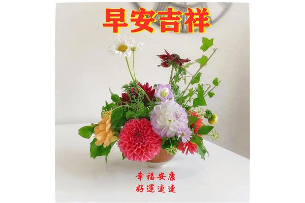 每日祝福语早安