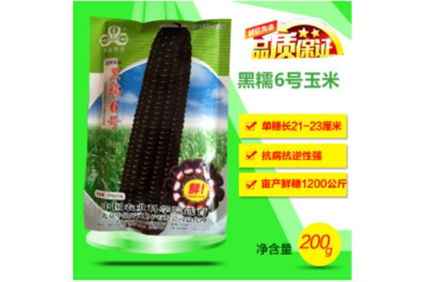 姑姑的儿子叫什么