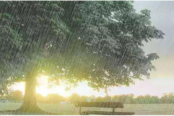 雨下的真大