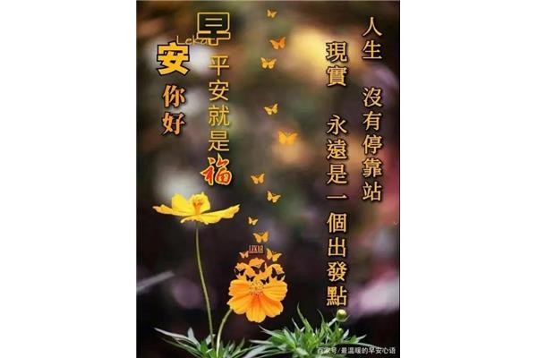 每日祝福语早安