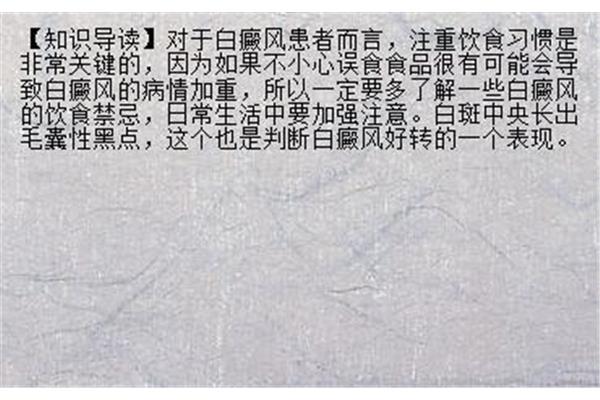 同仁什么意思