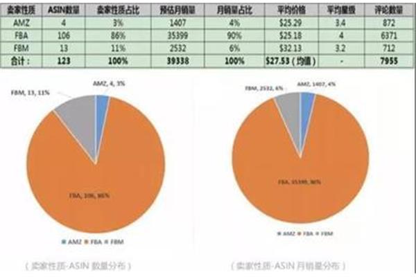选品分析报告