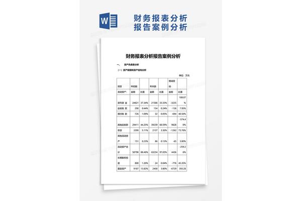 案例分析报告模板