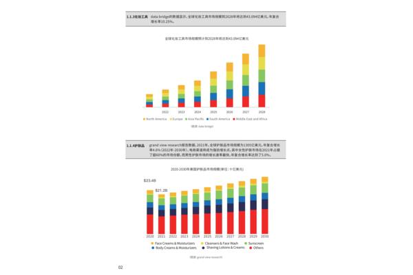 选品分析报告