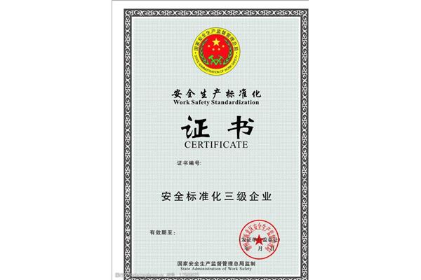 安全质量标准化