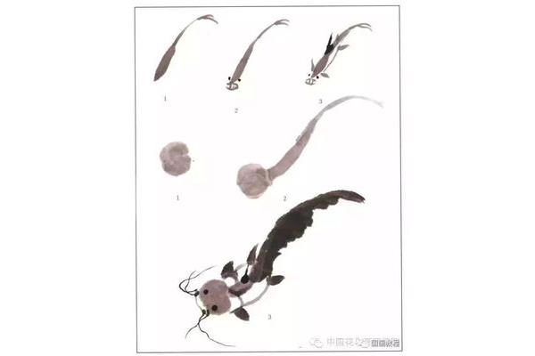 国画鱼的画法