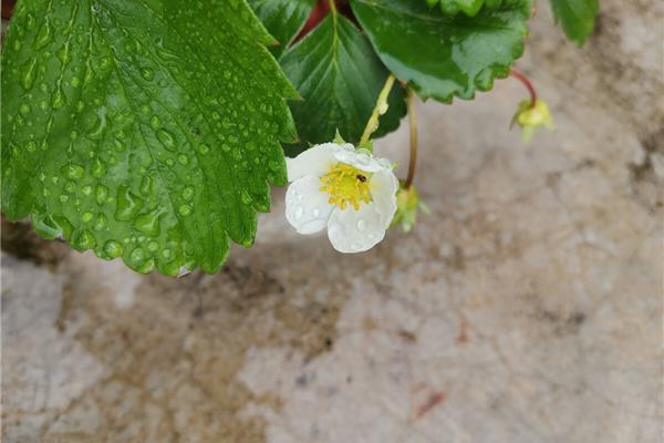雨后的晴天