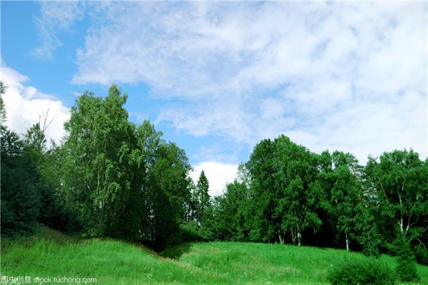 农村自然风景