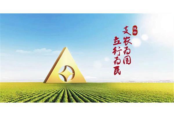 农业发展银行招聘