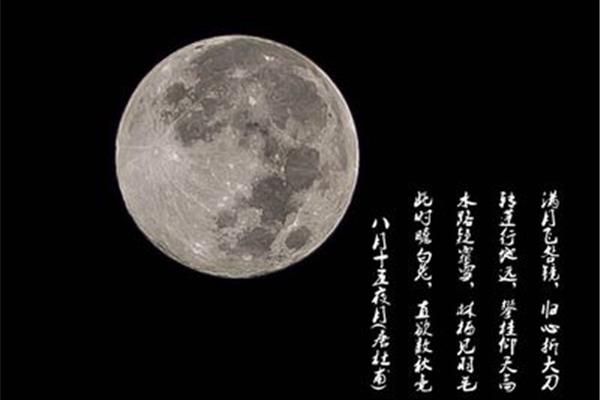 明月的诗词