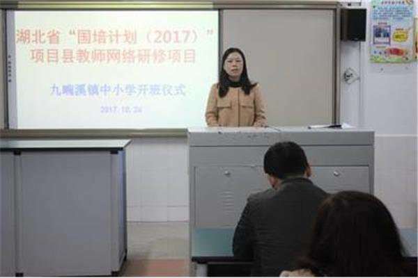 专家型教师
