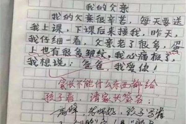 赞美老师的作文