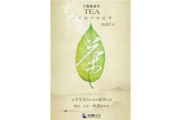 一片树叶的故事