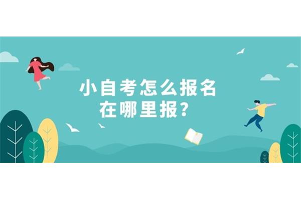 小自考怎么报名