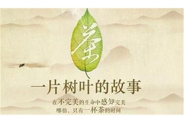 一片树叶的故事