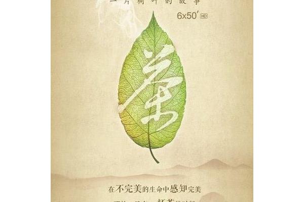 一片树叶的故事