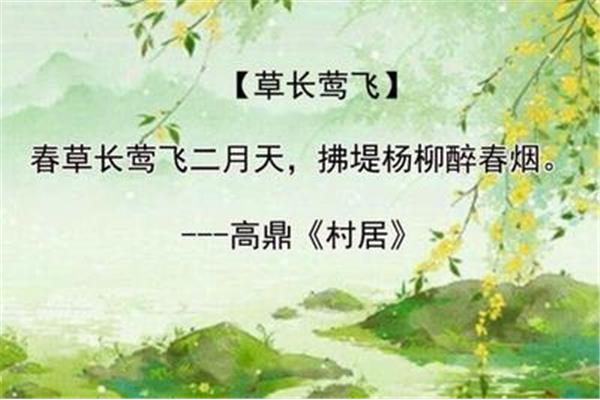 与春有关的成语