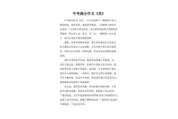 初中中考满分作文