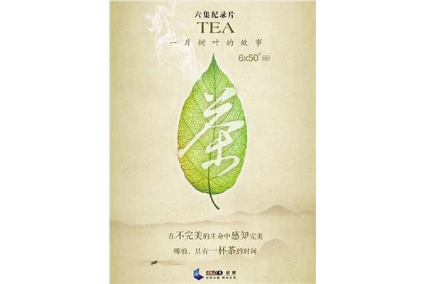 一片树叶的故事