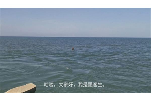 什么叫赶海