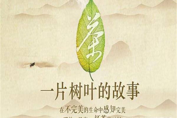 一片树叶的故事
