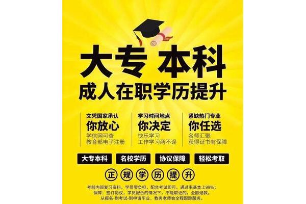 远程开放教育