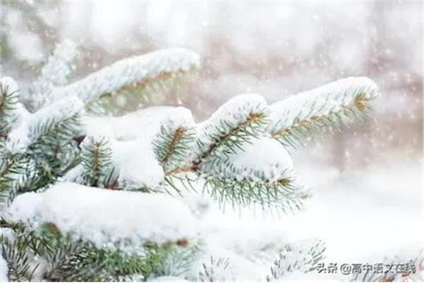 关于雪的唯美句子