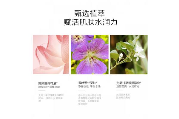 天竺葵精油的功效