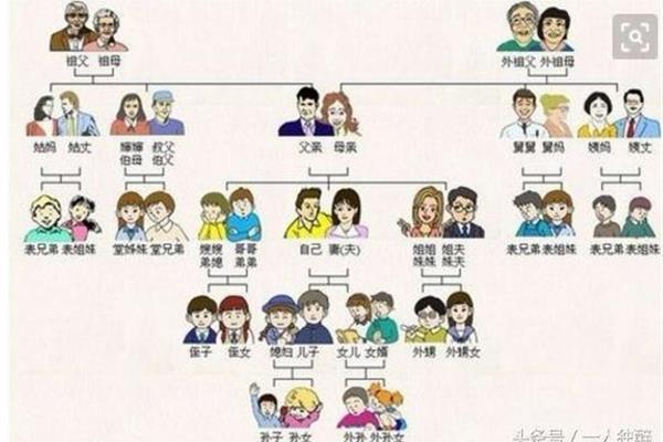 家族关系称呼大全