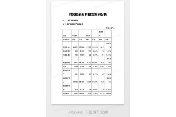 案例分析报告模板
