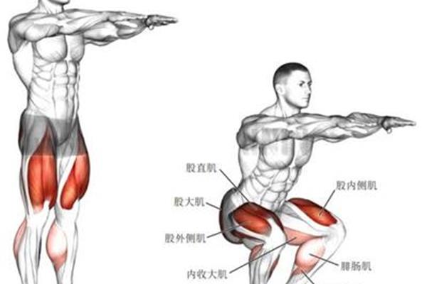 锻炼肌肉的方法