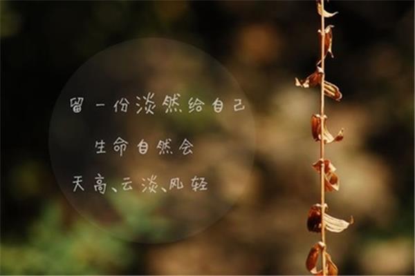 淡然的诗句