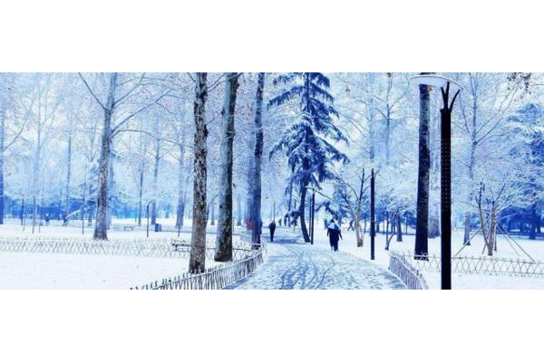 关于雪的唯美句子