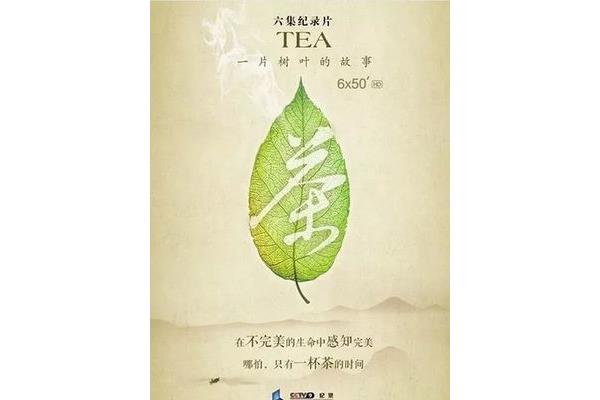 一片树叶的故事
