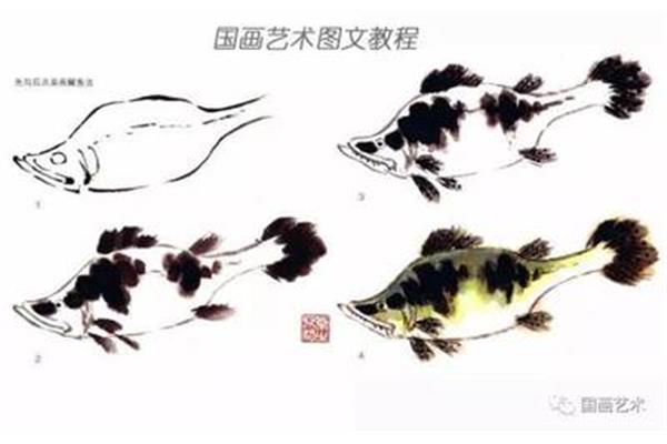 国画鱼的画法