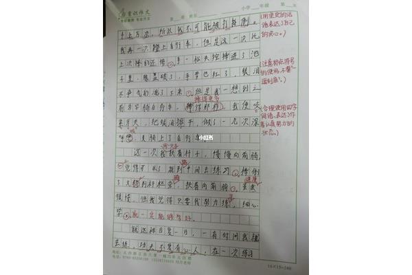 赞美老师的作文
