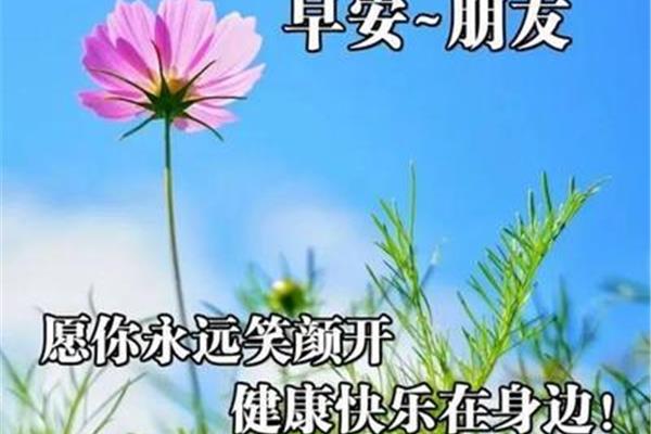 每日祝福语早安