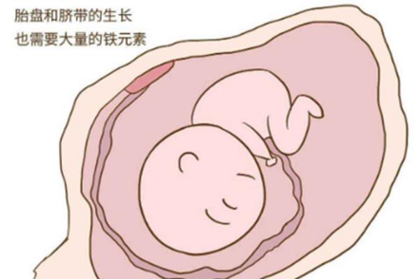 死胎有什么症状