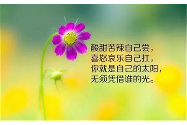 最拽的句子