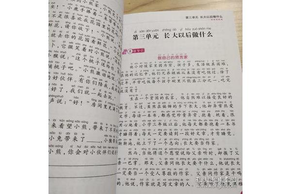 从什么到什么作文